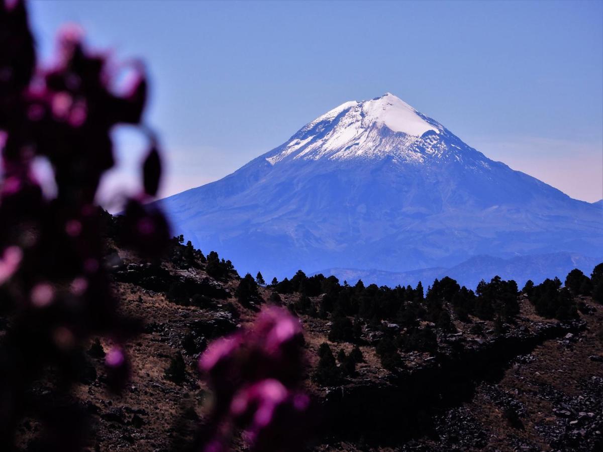 Hostal Azul Puebla Barrio El Alto Ngoại thất bức ảnh