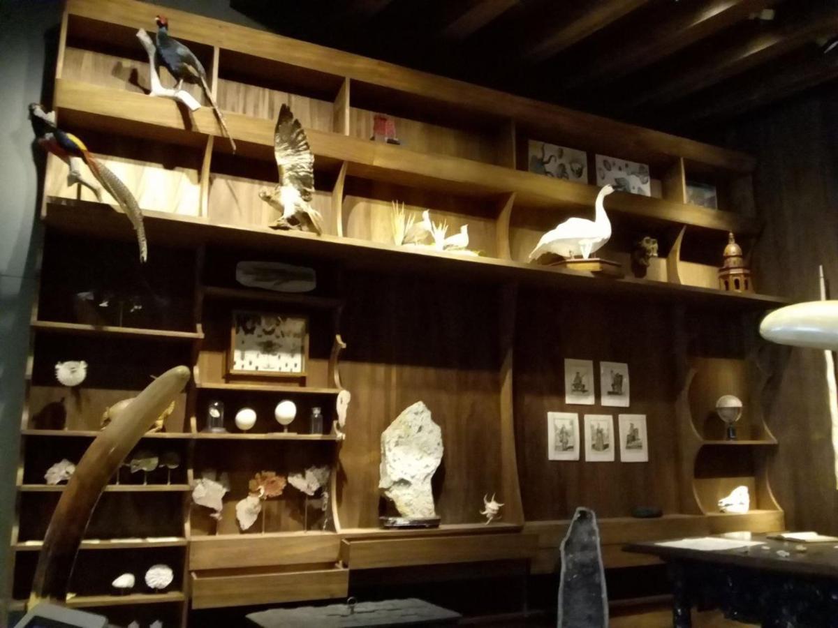Hostal Azul Puebla Barrio El Alto Ngoại thất bức ảnh