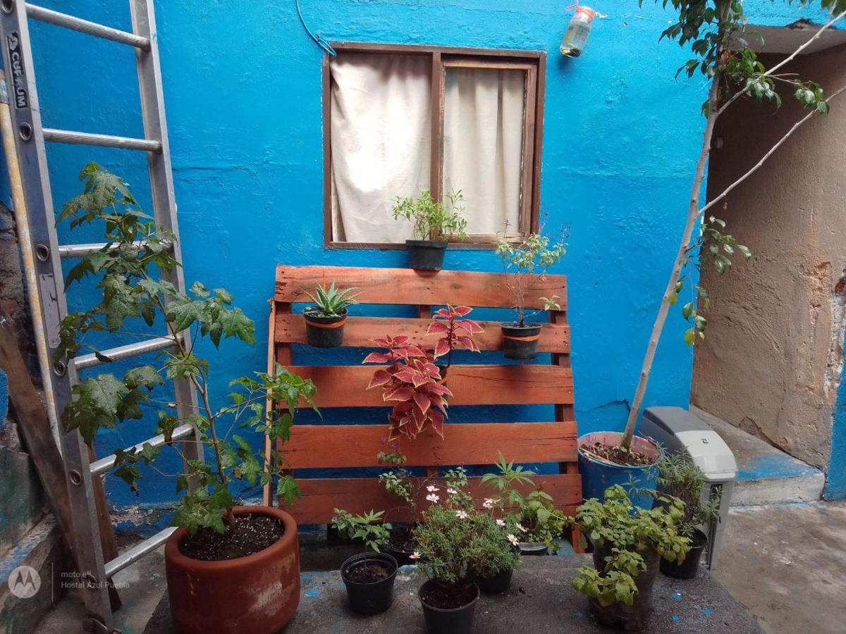 Hostal Azul Puebla Barrio El Alto Ngoại thất bức ảnh